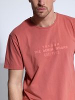 Ανδρικό Βαμβακερό T-shirt AMERICO 207075 Dusty - Image 2