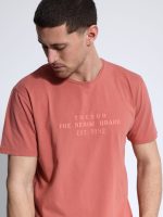 Ανδρικό Βαμβακερό T-shirt AMERICO 207075 Dusty - Image 4