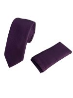 Ανδρική Γραβάτα Με Μαντηλάκι 33-6099 Purple 6